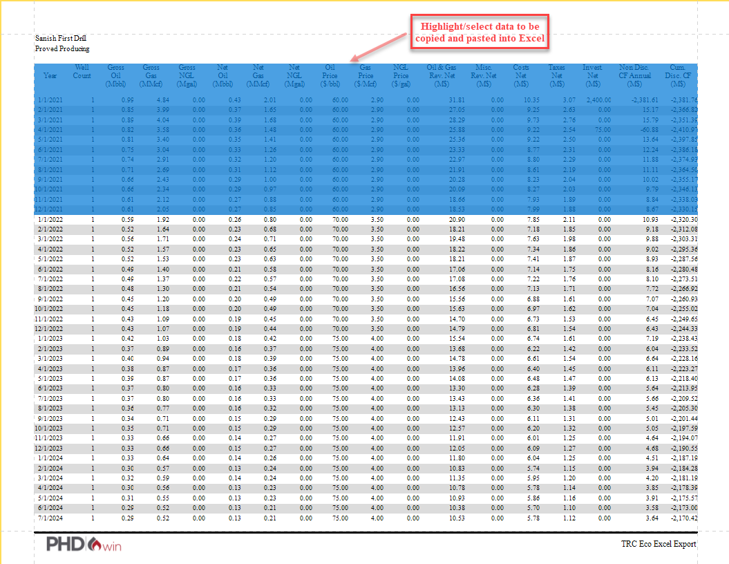 Report - Eco Excel Paste example