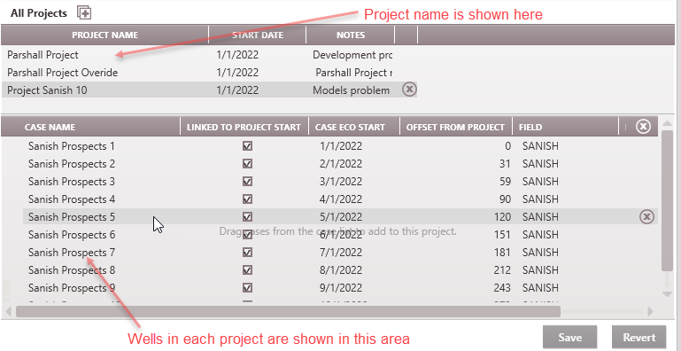 Editing - Project Manager