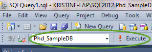 SQL Permission Test Script