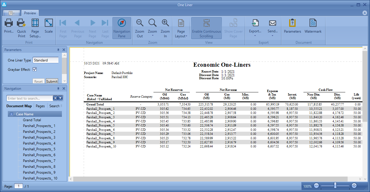 Report Preview Window