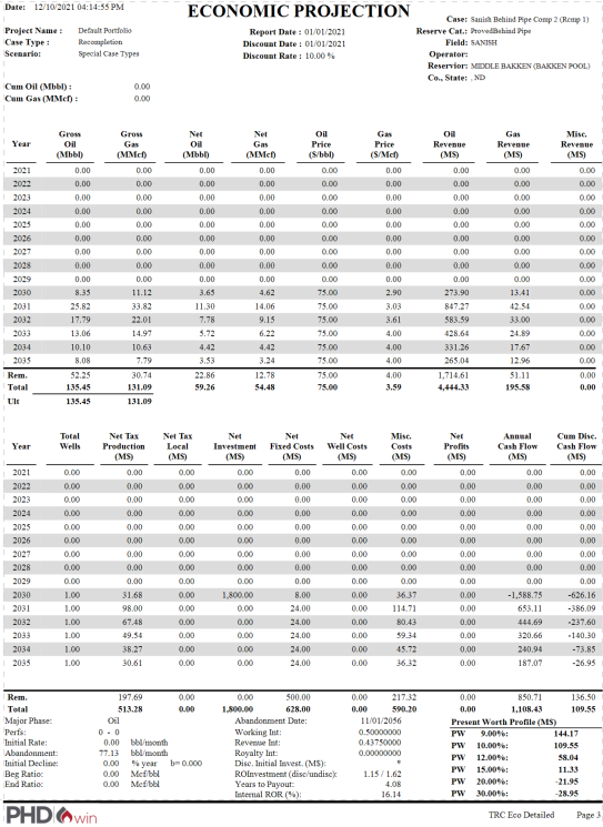 Report - Detailed report example
