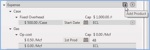 Editing Case - Expense model