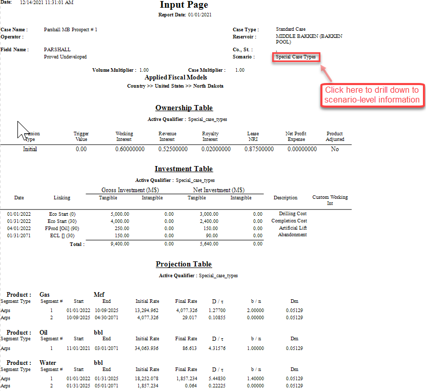 Report - Input report example