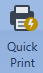 Report Quick print