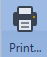Report Print