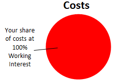 Ownership explanation - 100% cost