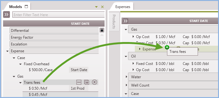 Editing Case - Expense model transp