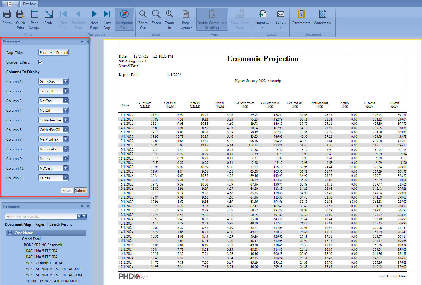 Report - Custom User report example